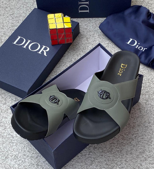DIOR SLIDES