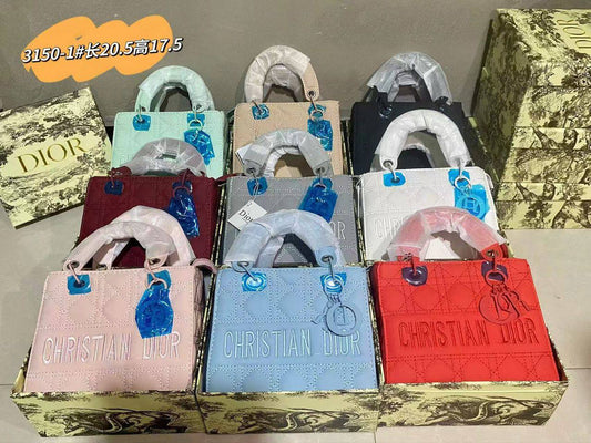 NEW IN CHRISTIAN DIOR BAG
