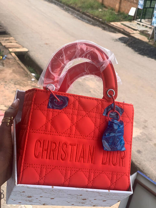 NEW IN CHRISTIAN DIOR BAG